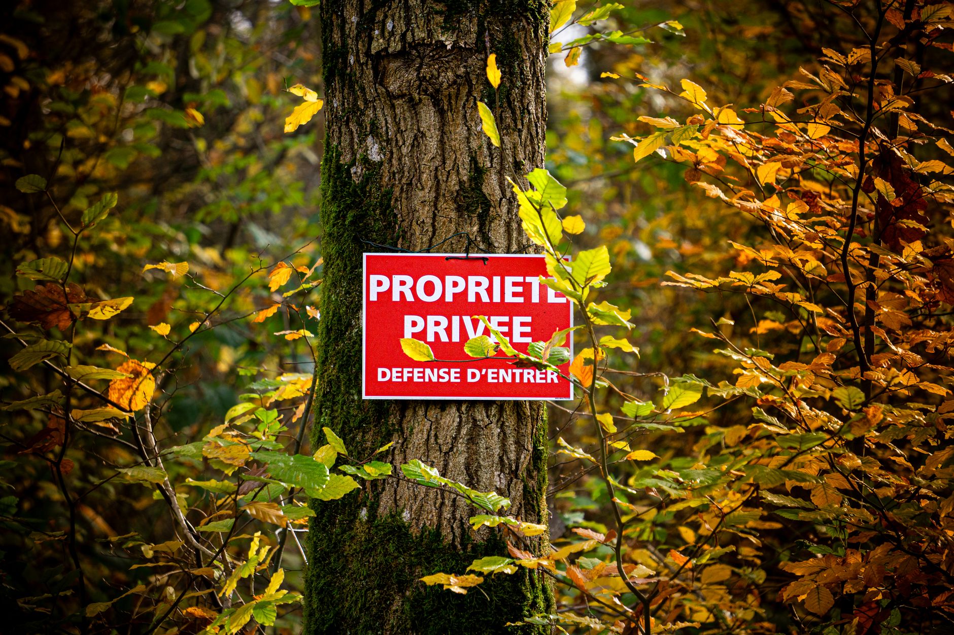 Détective privé à Rennes